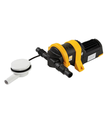 Gulley IC